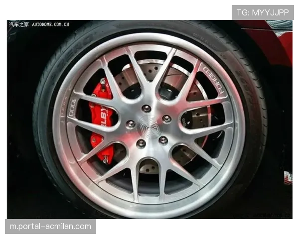 Tane Edmed从花队转会野马队，年轻10号位补强球队阵容